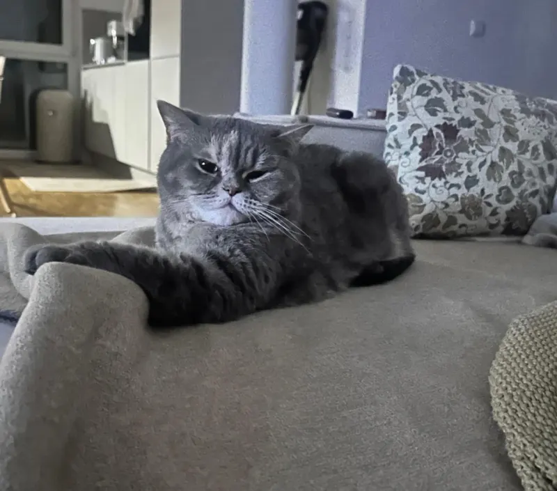 Mimi, Hockenheim