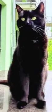 Luna, Jena