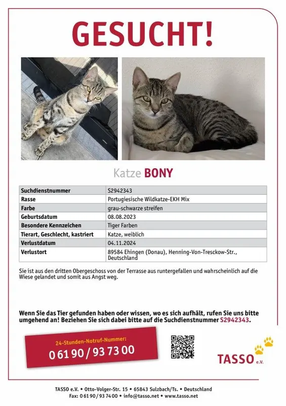 Bony, Ehingen