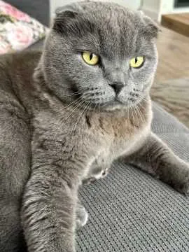 Kiki, Ochtrup