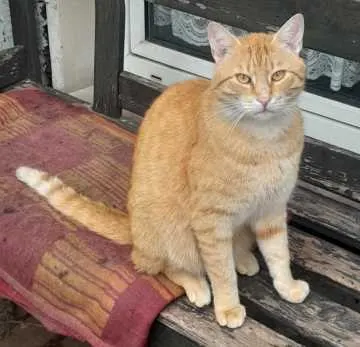Eddy, Schondra