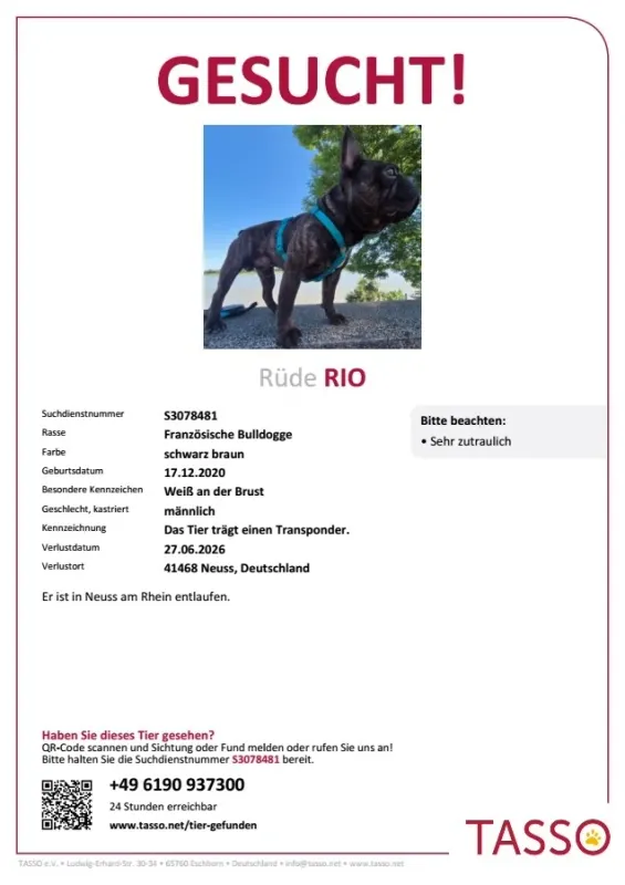 Rio, Wersten