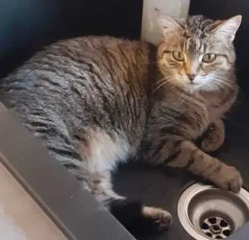 Cleo, Forchheim