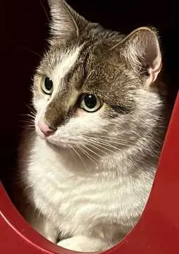 Findus, Wachtberg