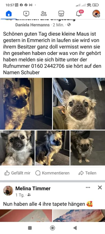 Schuba, Emmerich