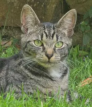 Lucy, Tecklenburg