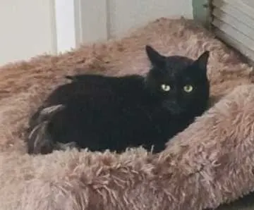 Coco, Oberboihingen