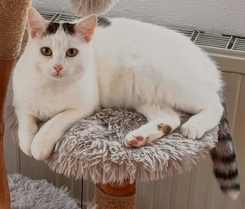 Stina, Schorndorf