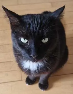 Pablo, Mölln