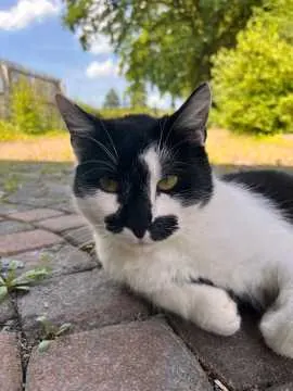 Jacky, Steinhagen