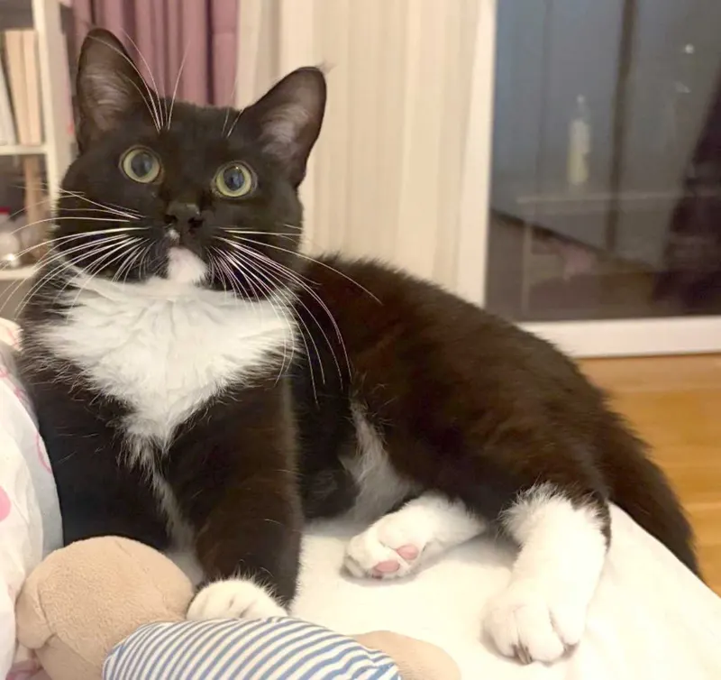 Findus, Bonn