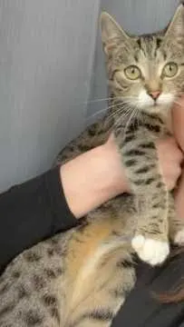 Nala, Northeim