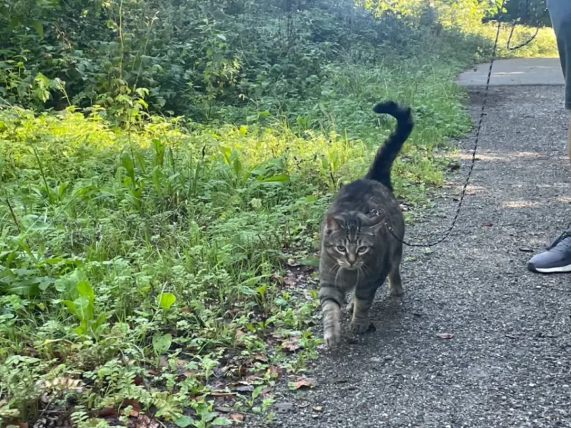 Kiki, Ravensburg