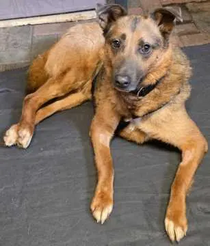 Jakko, Bremervörde