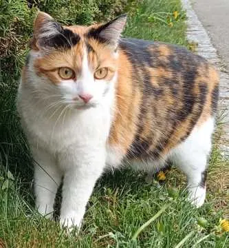 Lucie, Leutkirch im Allgäu