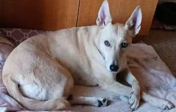 Carla, Ramsau b. Berchtesgaden