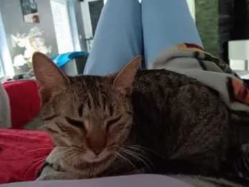 Molly, Hörstel