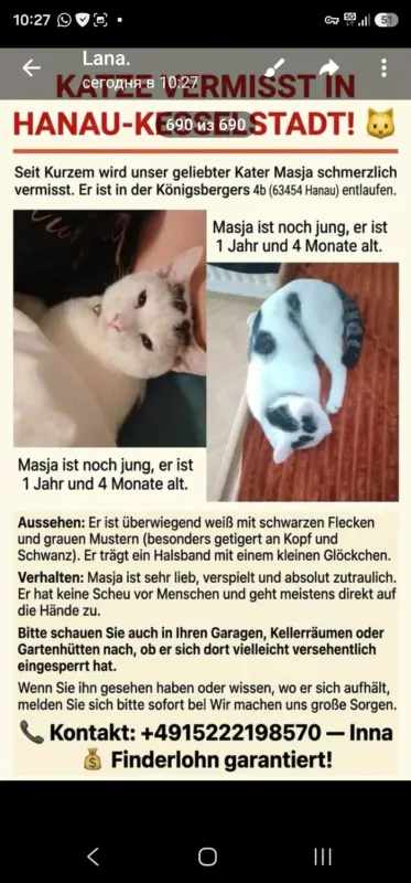 Masik, Hanau am Main
