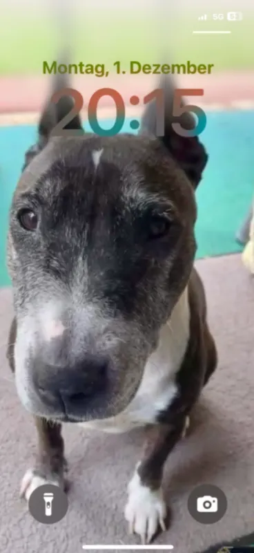 Ayla, Bruchköbel