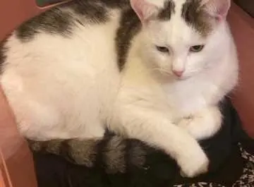 Maxi, Nordenham