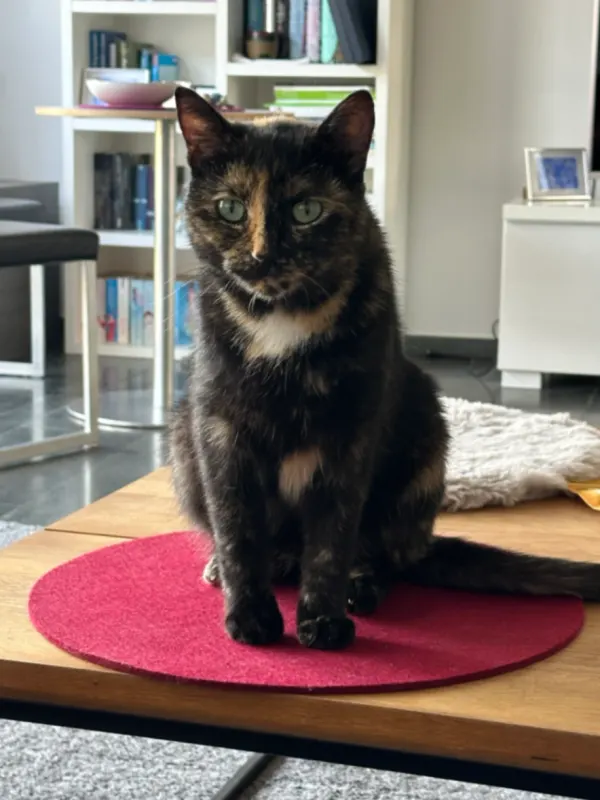Mahrie, Lippstadt
