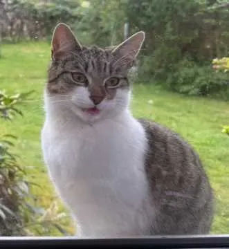 Nala, Bad Zwischenahn