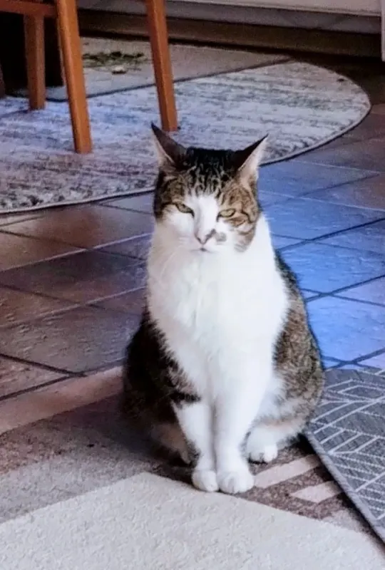 Charly, Castrop-Rauxel