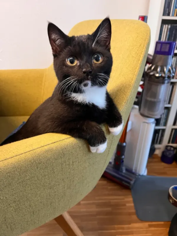 Milo, Bielefeld
