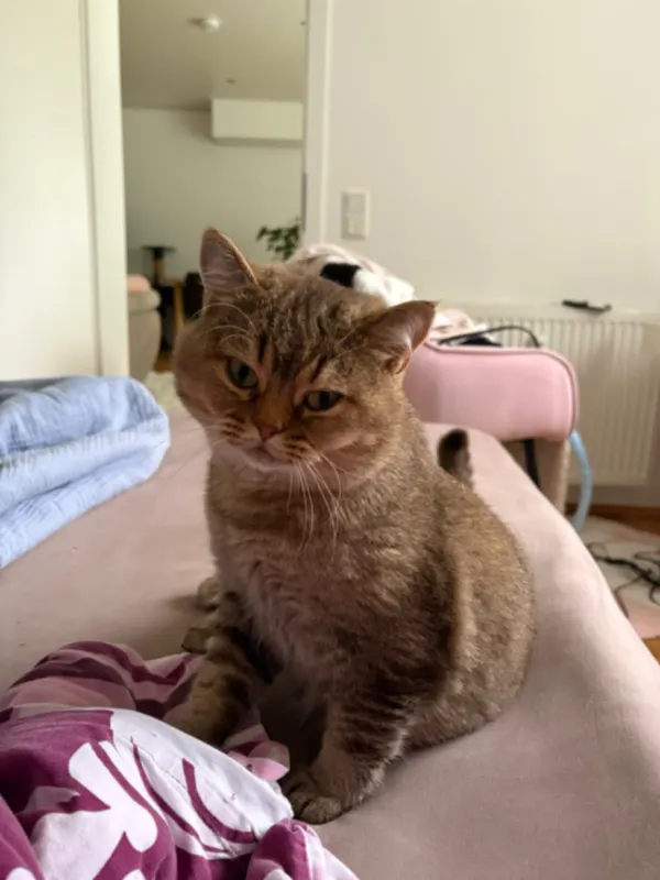 James, Bielefeld