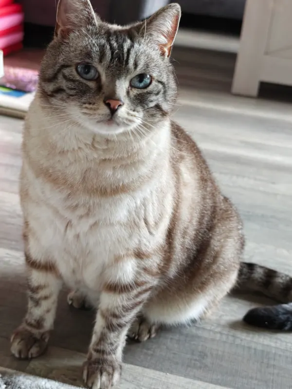 Bobby, Oerlinghausen