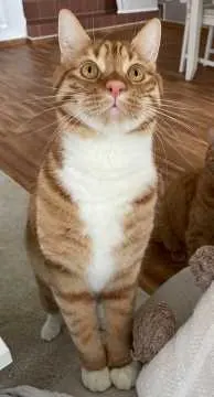 Winnie, Güstrow