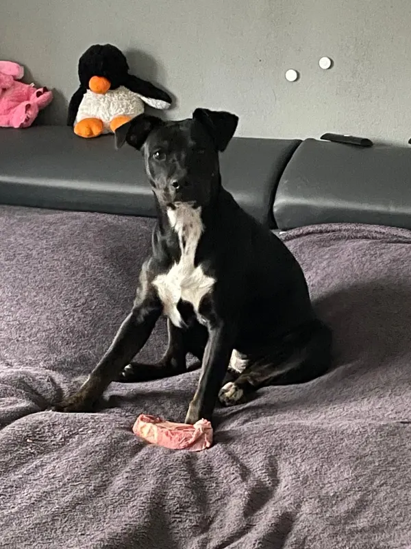Coco, Oranienburg