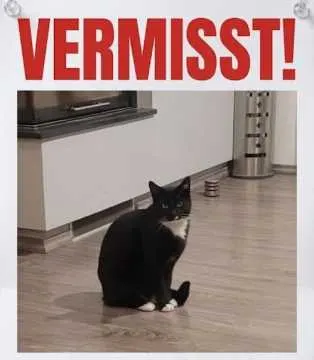 Pixel, Geseke