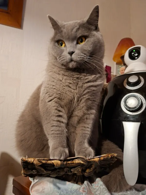 Lulu, Heinsberg