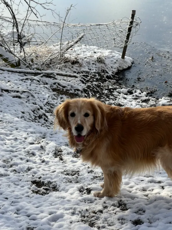 Charlie, Hürth