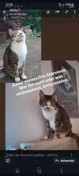 Kai, Geseke