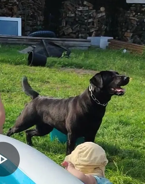 Bella, Ibbenbueren