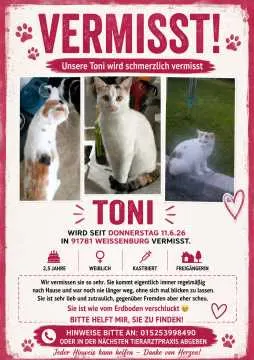 Toni, Weißenburg i.Bay.