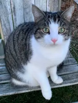 Findus, Wenden