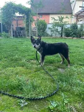 Nora, Bergfeld