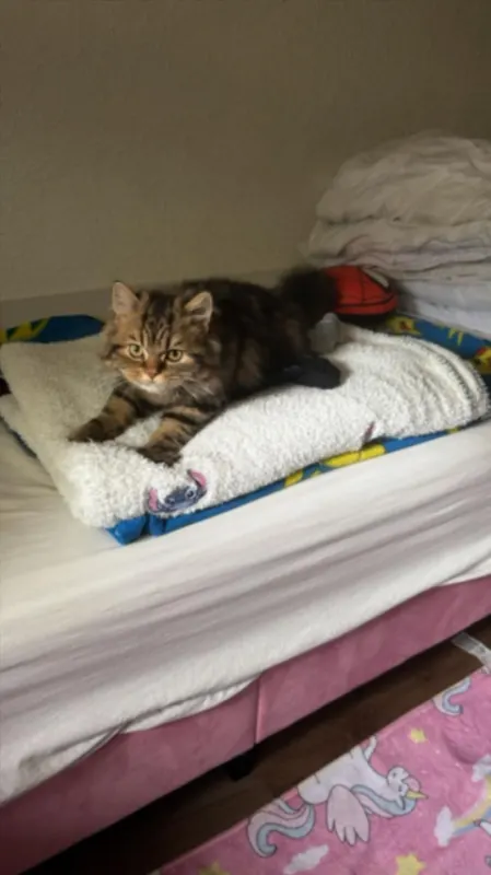 Khloe, Crailsheim
