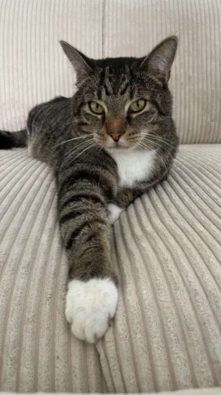 Marlon, Lüdinghausen