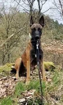 Chico, Grävenwiesbach