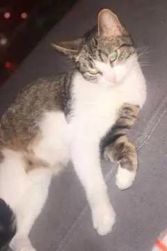 Kitty, Otzberg