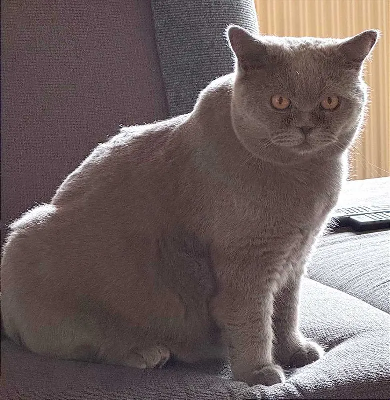 Yuki, Fürth