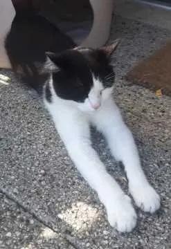 Socke, Nauen