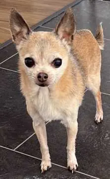 Spike, Bottrop