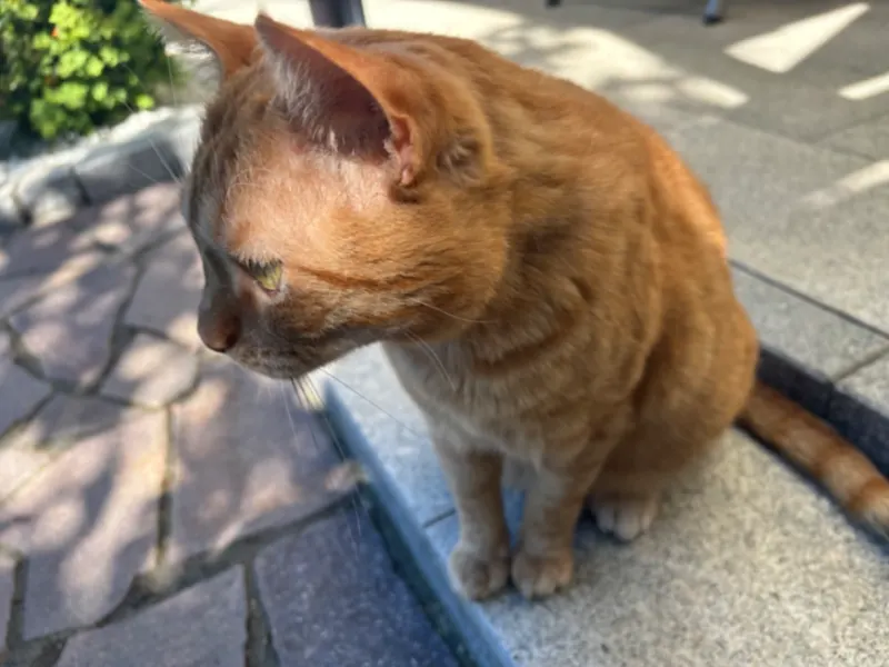 Pablo, Burscheid