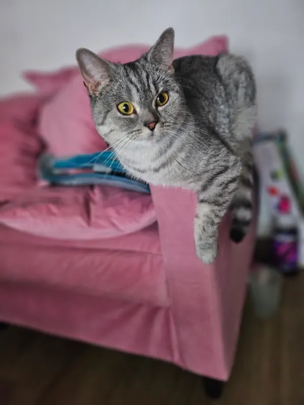 Nala, Burscheid