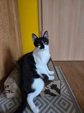 Wilma, Berlin